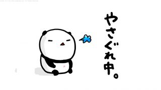 panda 024