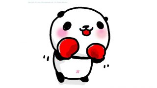 panda 021