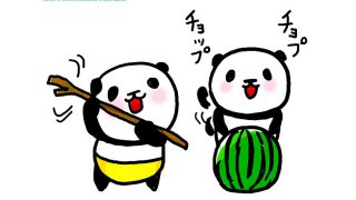 panda 003