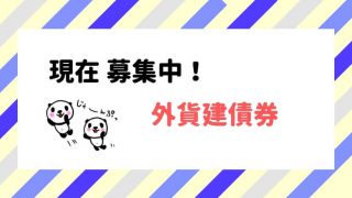 募集中の外貨建債券